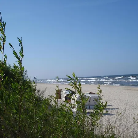 Michel Heringsdorf (Usedom)